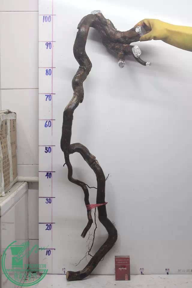 psb (1).jpg