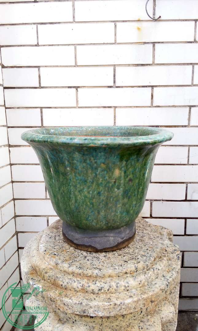 P50107-162019_С.jpg