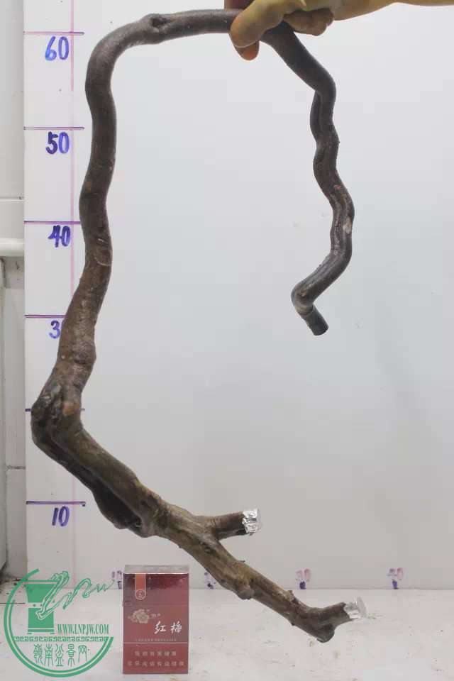 psb (2).jpg