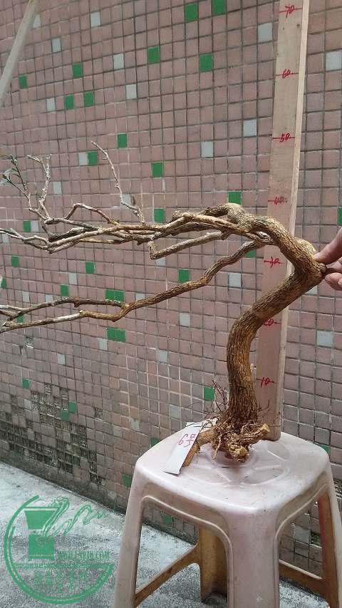 20150109_102018.jpg