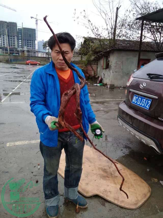 psb.jpg33333.jpg