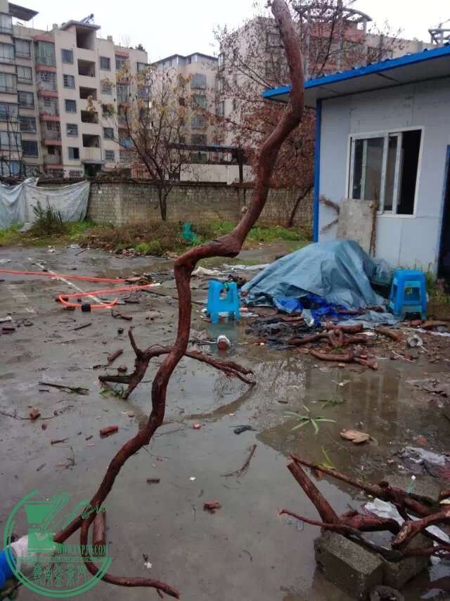 psb.jpg2222222222.jpg