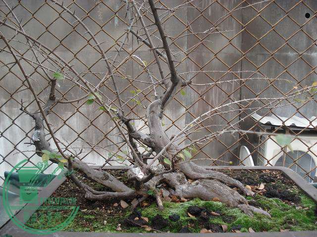 DSC00170.JPG