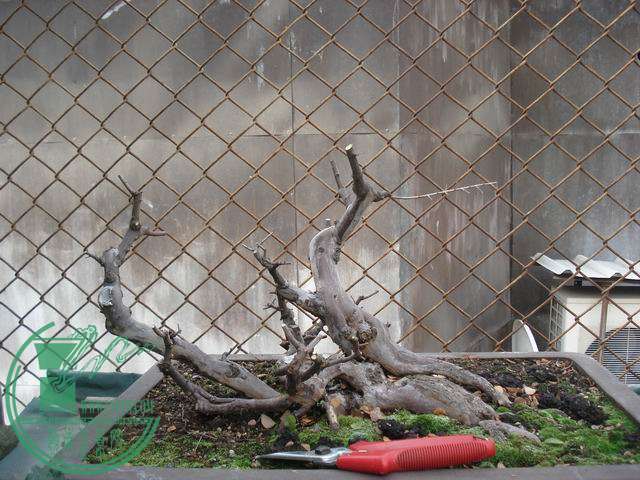 DSC00171.JPG