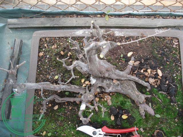 DSC00172.JPG