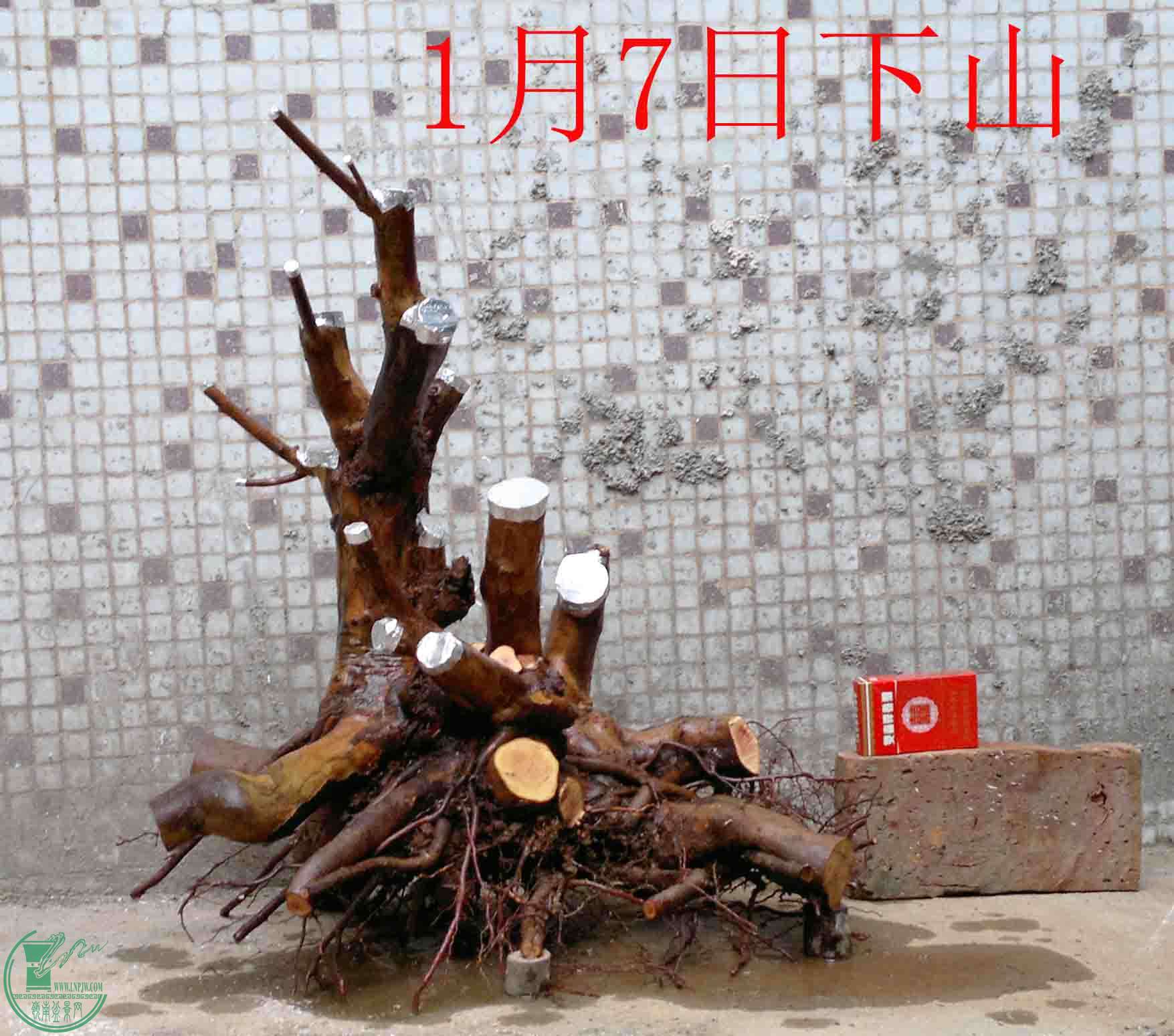 201501091033.jpg