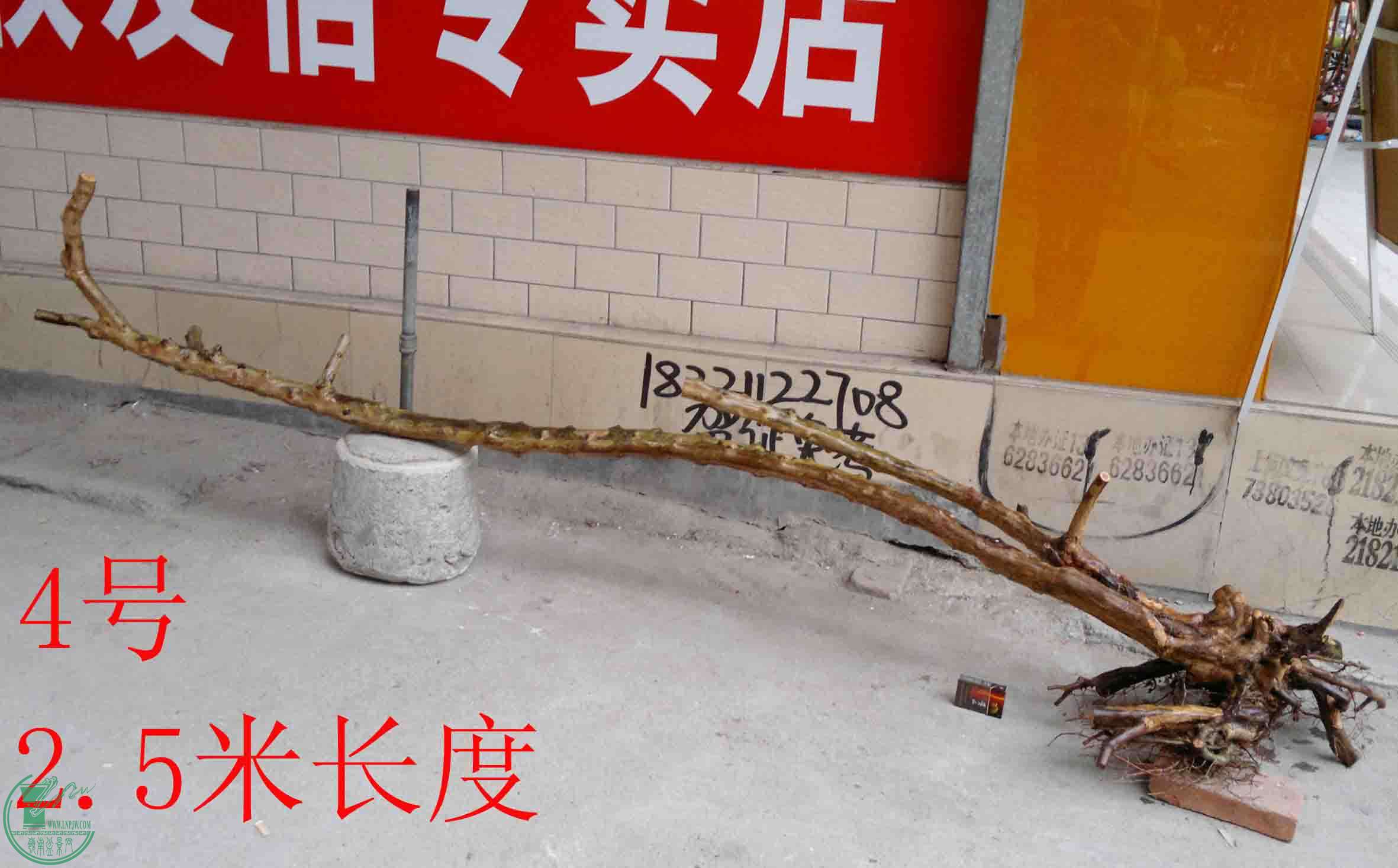 201501091101.jpg