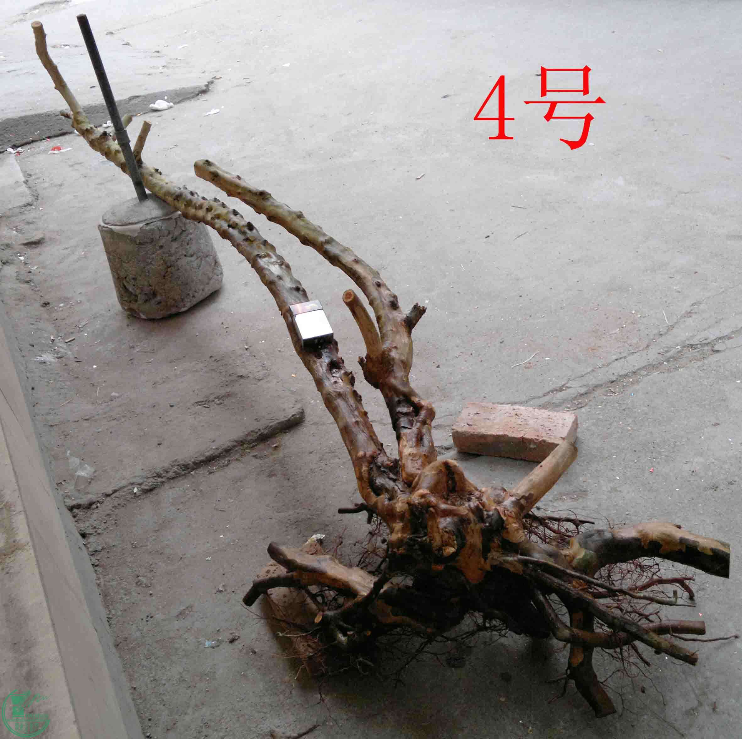 201501091116.jpg