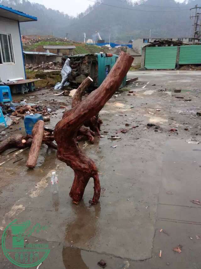 psb.jpg111.jpg