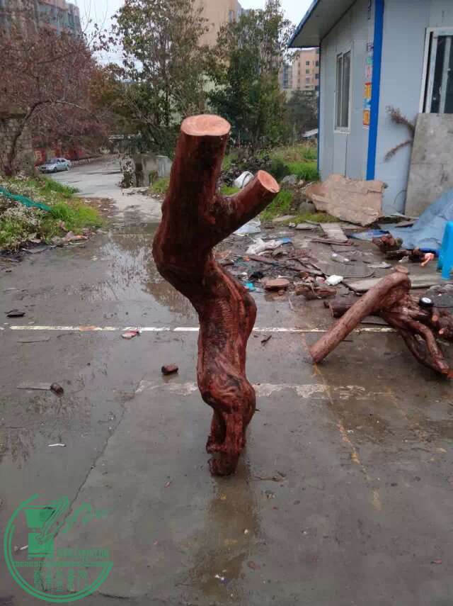 psb.jpg1111.jpg