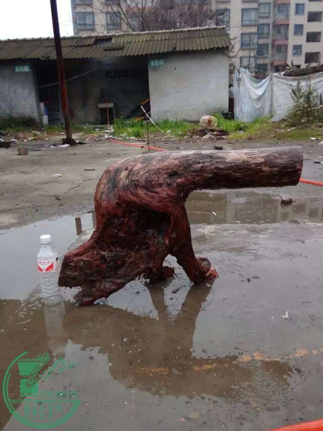 psb.jpg33333333333333333333333333.jpg