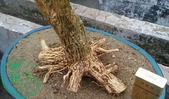 4_.jpg