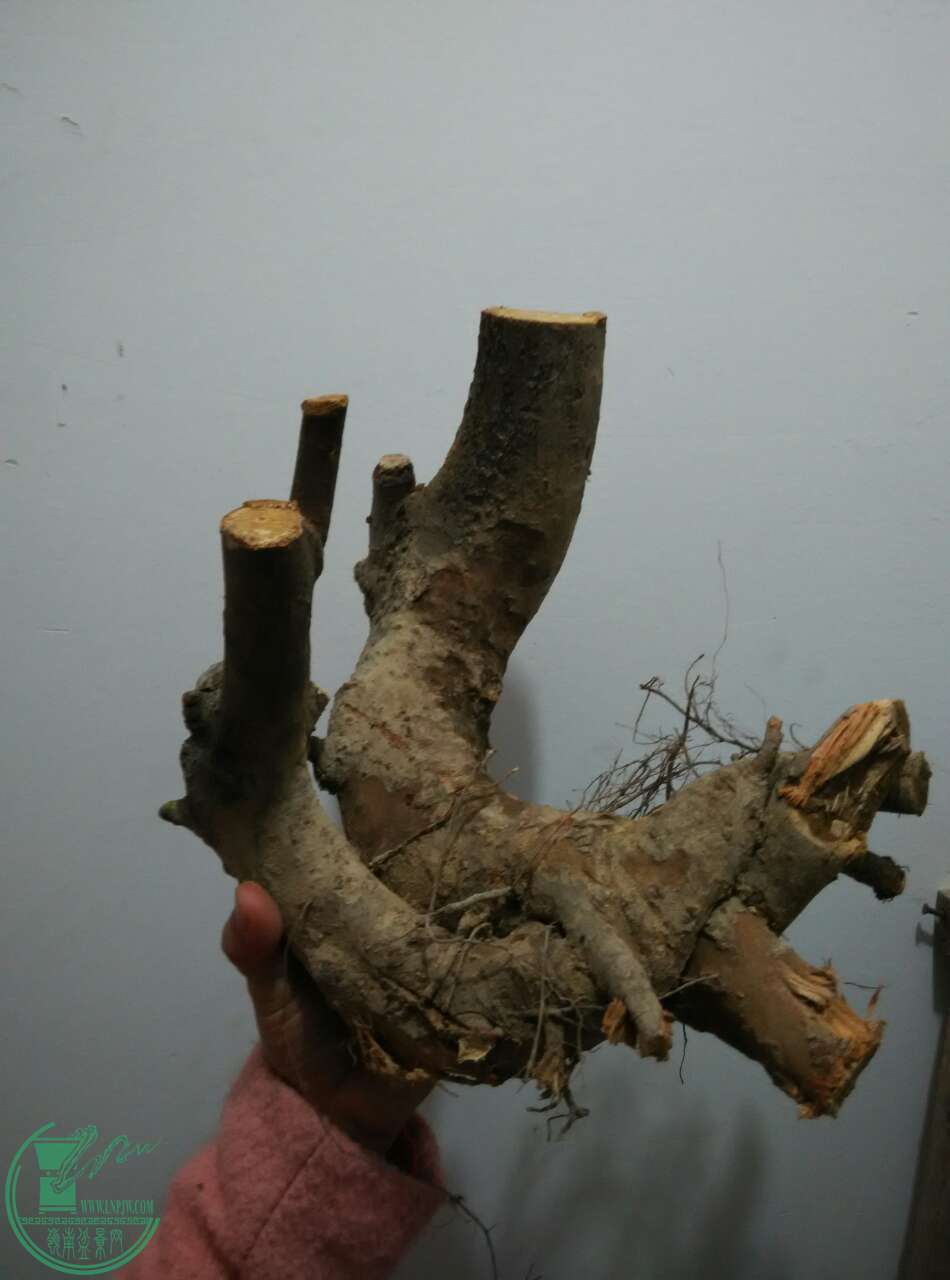 22832_12744859.jpg