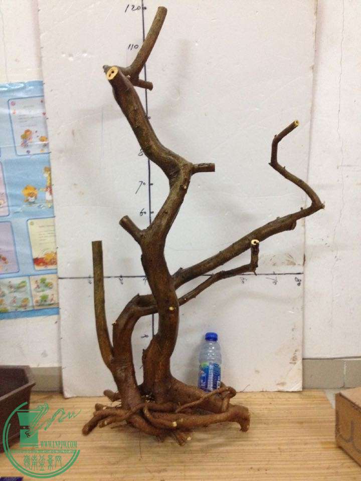 QQͼƬ20150110230359.jpg