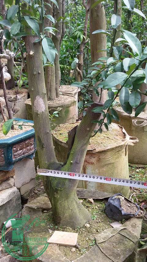 20150111_113548.jpg