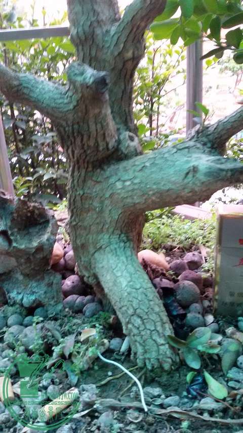 20150111_165450.jpg