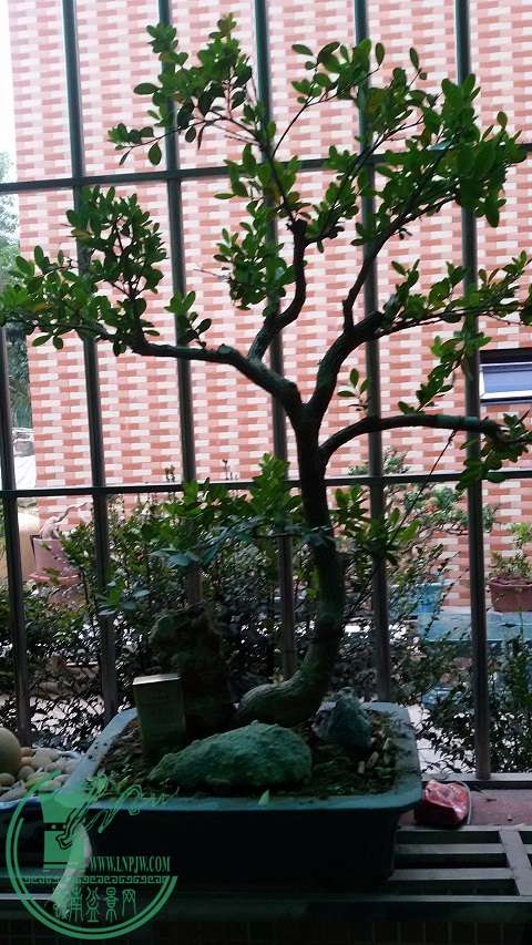 20150111_165555.jpg