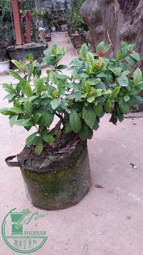20150111_171609.jpg