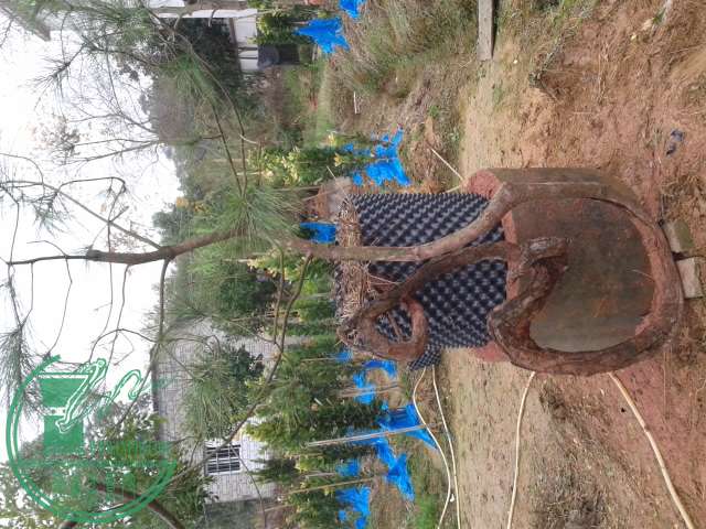 20150111_131137.jpg