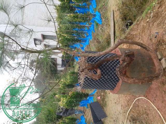 20150111_131143.jpg