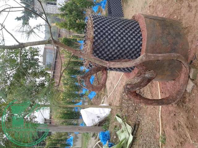 20150111_131156.jpg