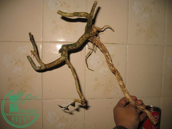 048.JPG