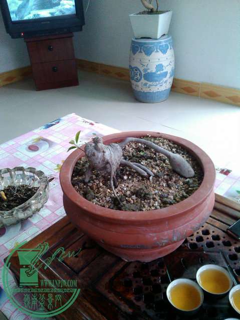 IMG_20150111_171100.jpg