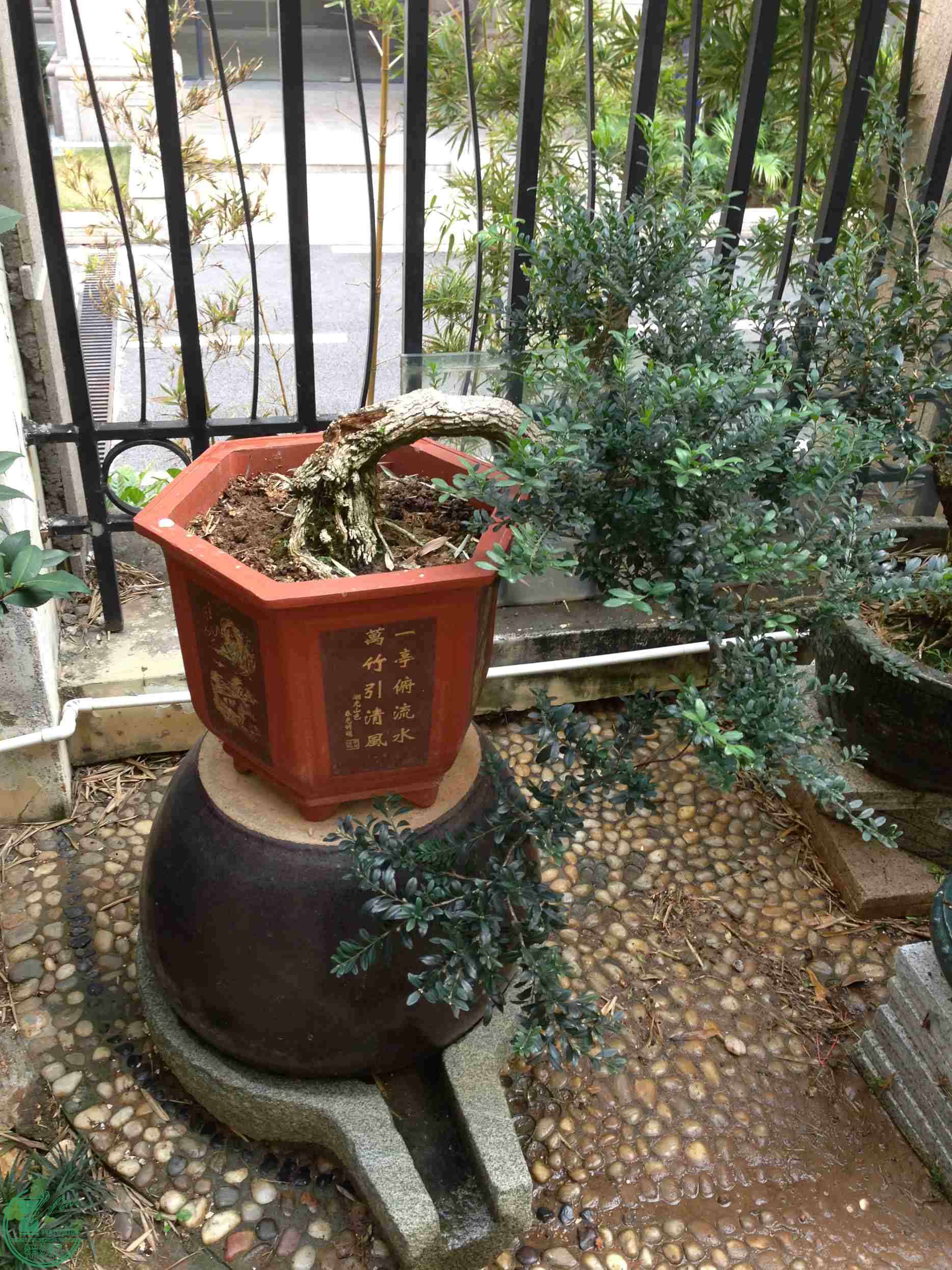 ҵ辰 076_.jpg