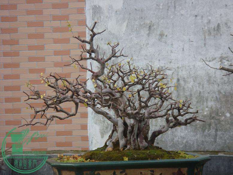 DSC07224.JPG