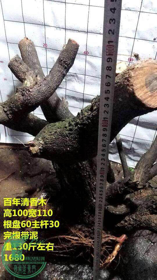 QQͼƬ20150113213700.jpg