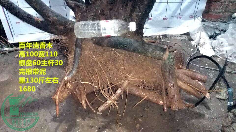 QQͼƬ20150113213747.jpg