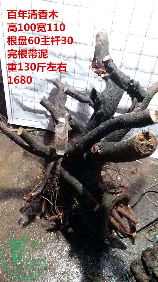 QQͼƬ20150113213801.jpg