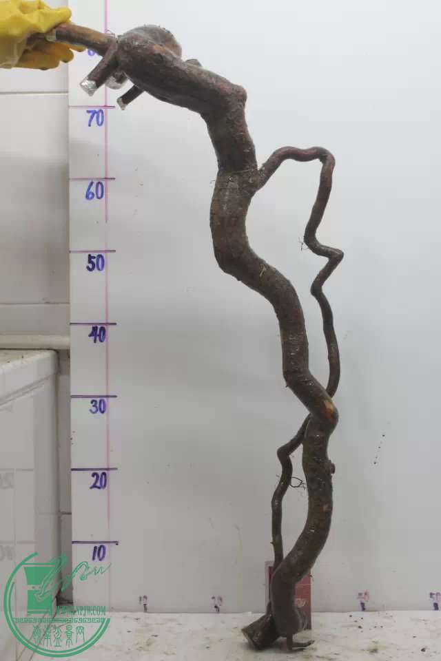 psb (1).jpg