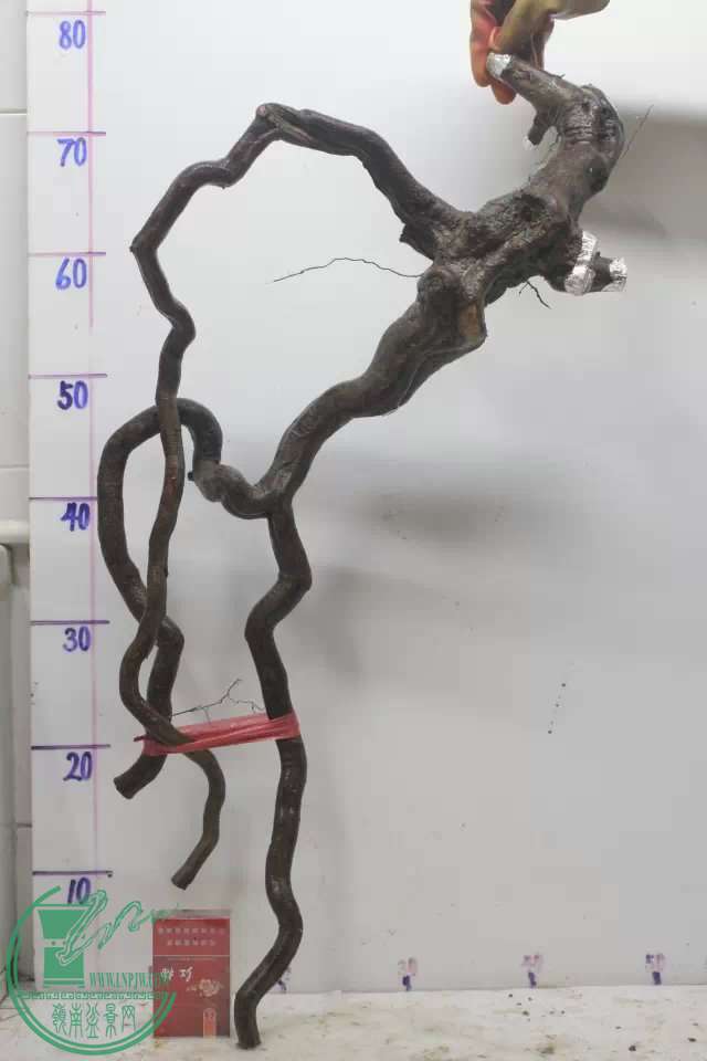 psb (3).jpg