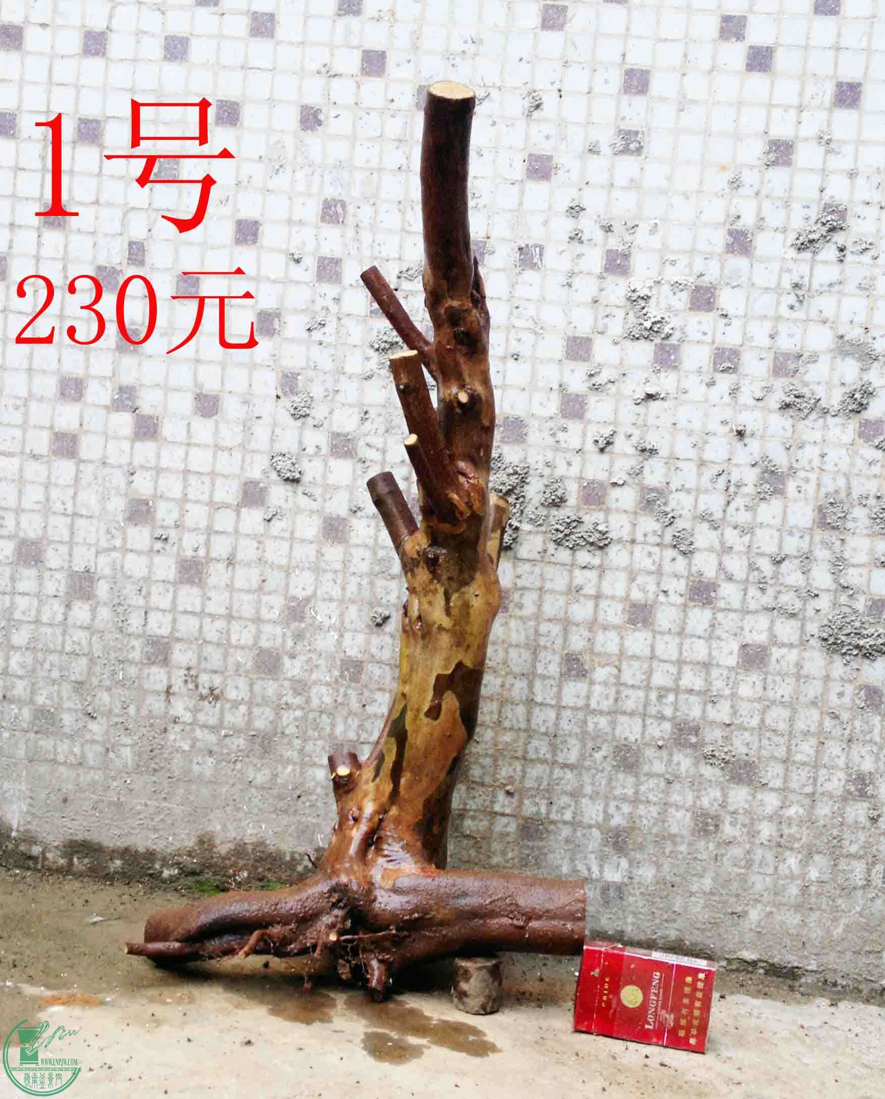 201501141218.jpg