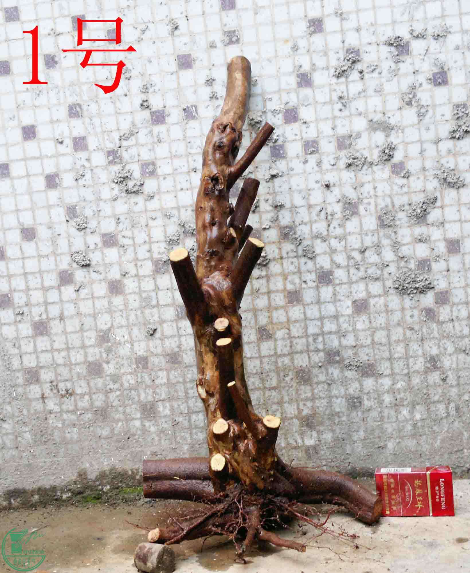 201501141220.jpg