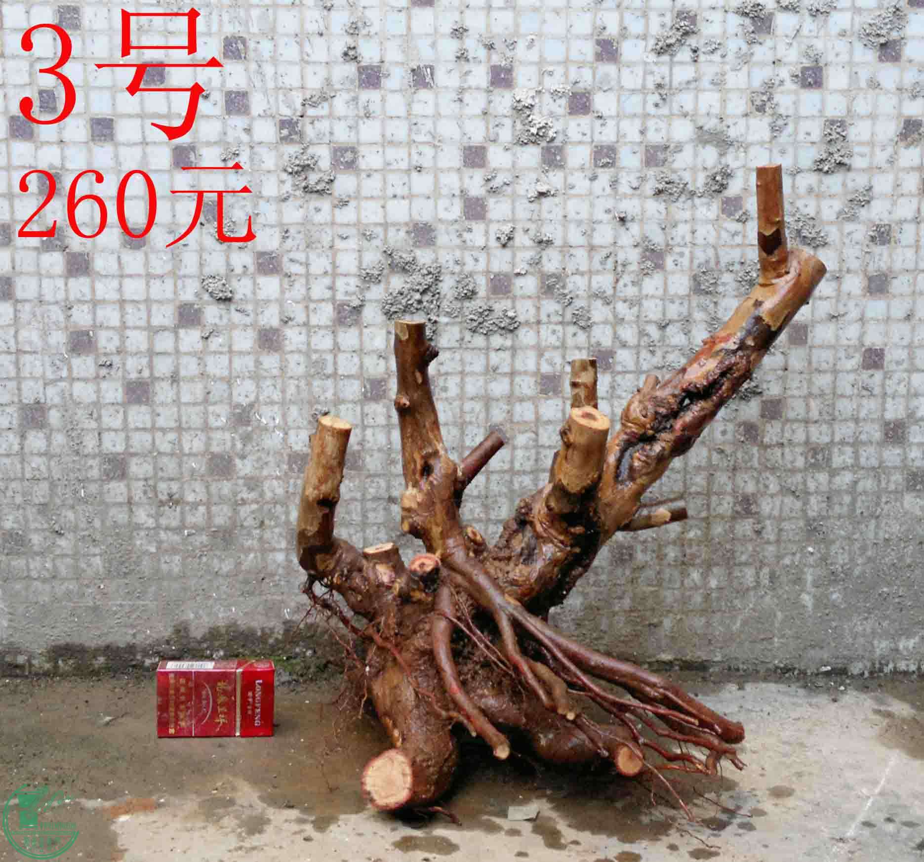 201501141249.jpg