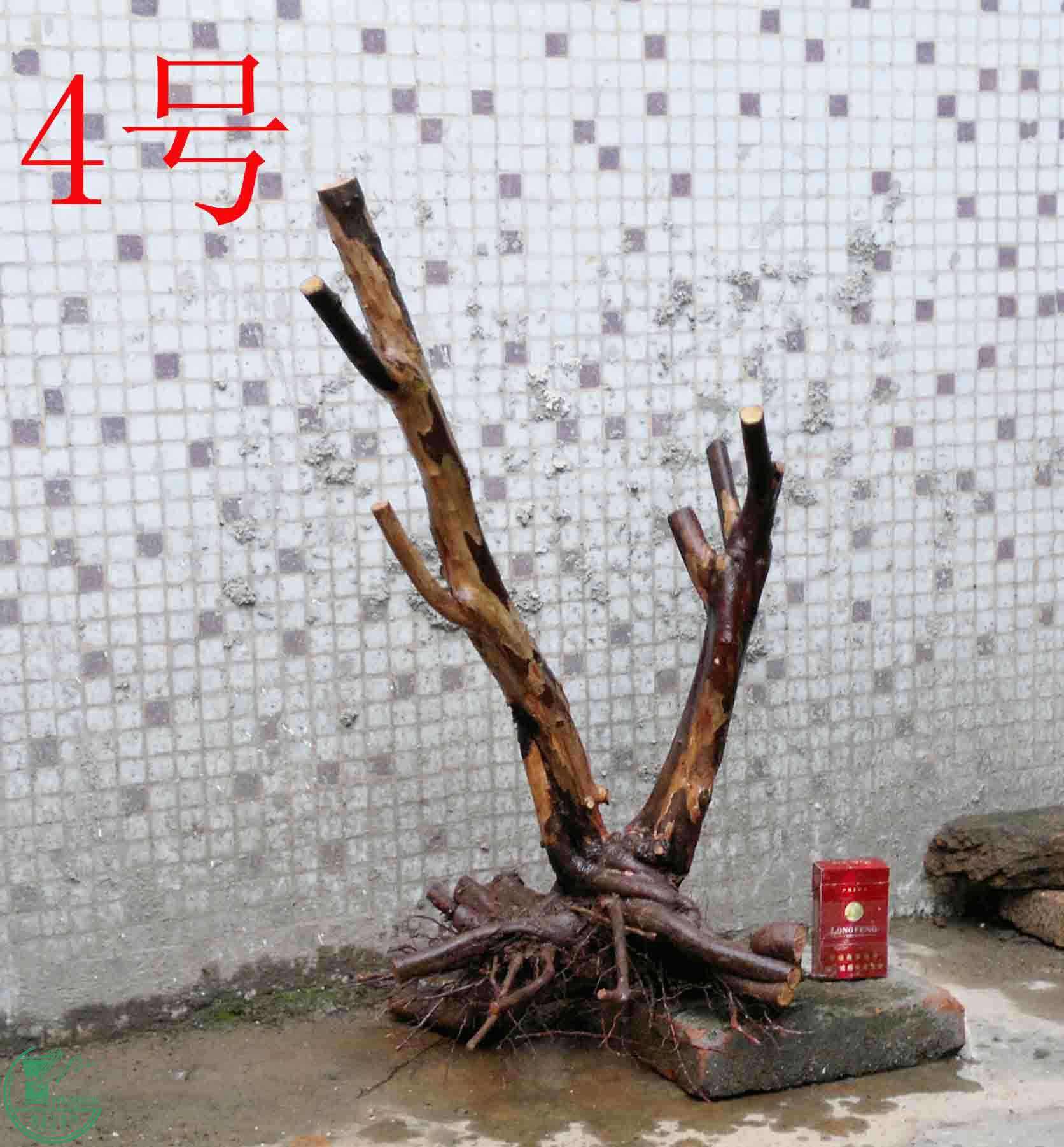 201501141262.jpg