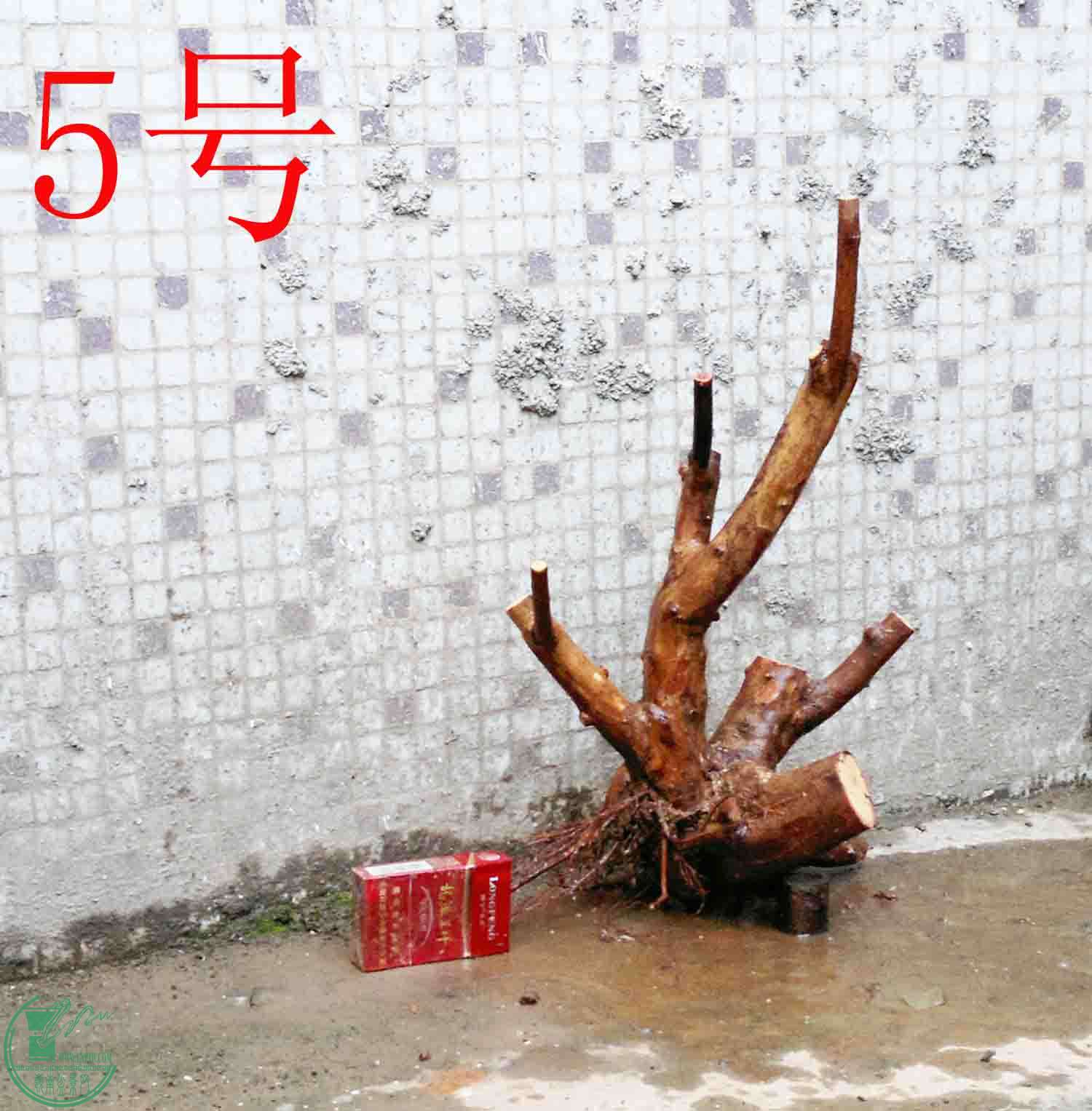 201501141273.jpg