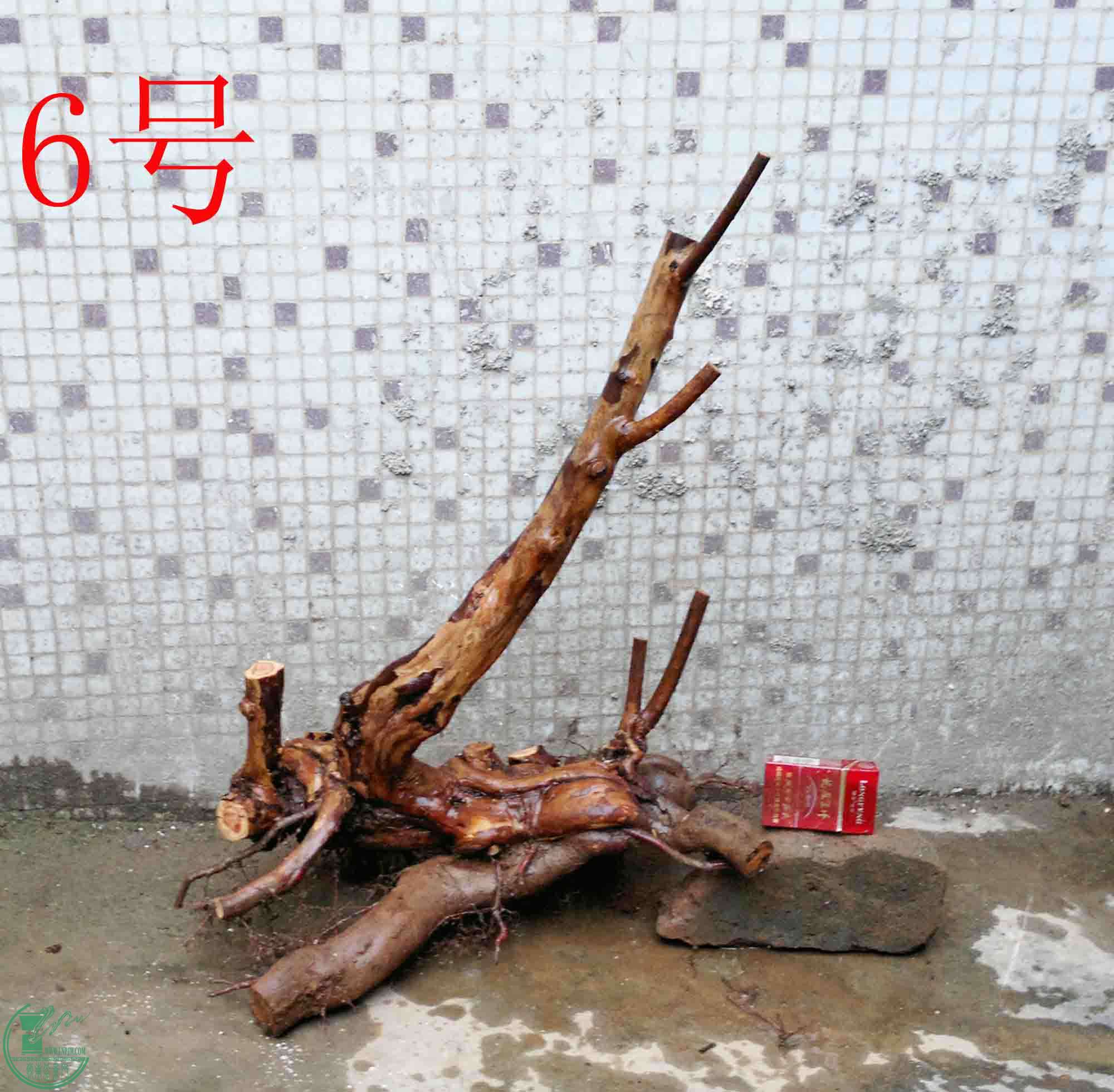 201501141283.jpg