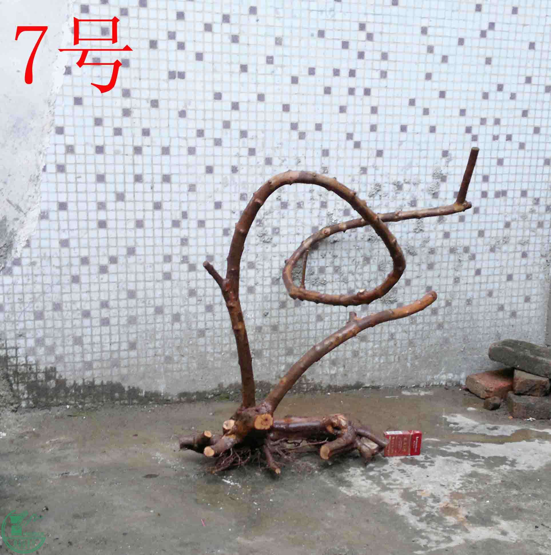 201501141296.jpg