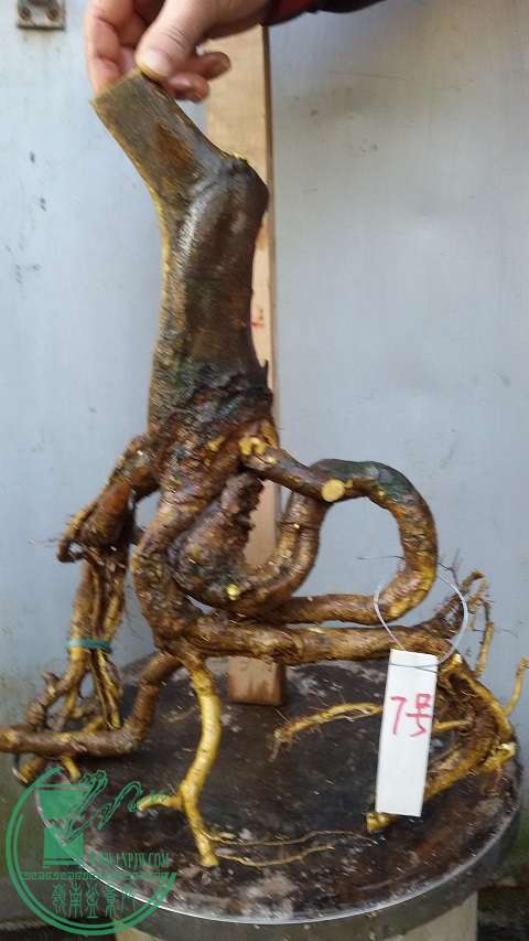 20150114_162531.jpg