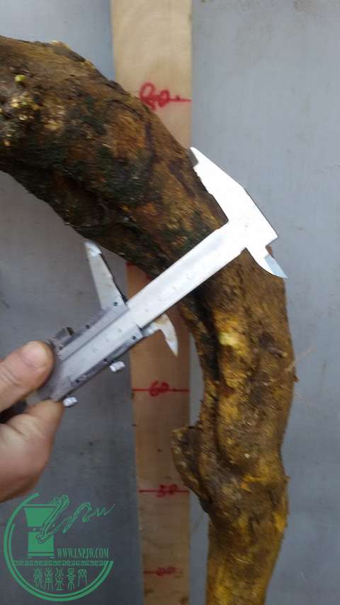 20150114_163037.jpg