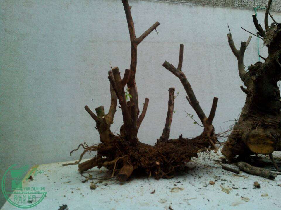 QQͼƬ20150117210155.jpg