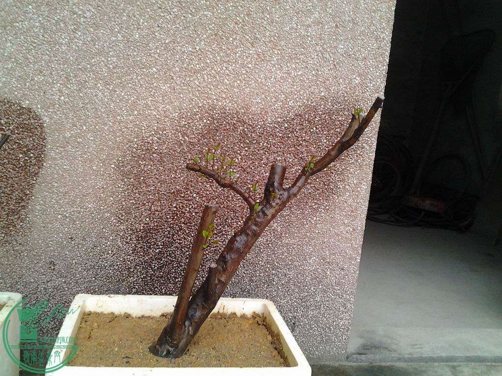 20131120_172032_ͼ.jpg