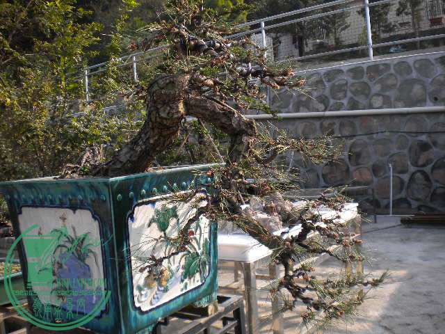 DSCN7720.JPG
