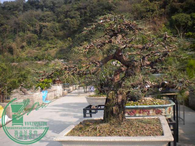 DSCN7724.JPG