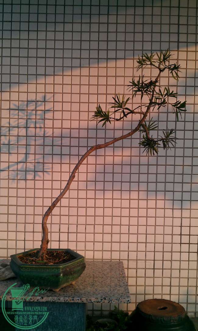 IMAG0367.jpg
