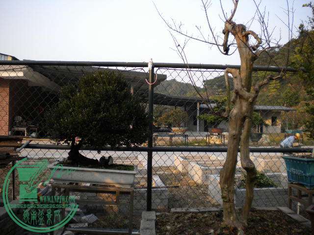 DSCN7690.JPG