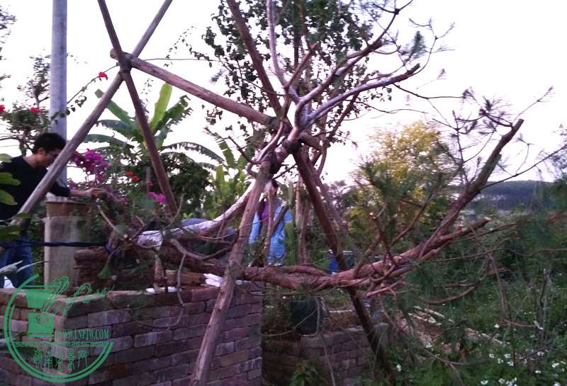20141213_181442.jpg